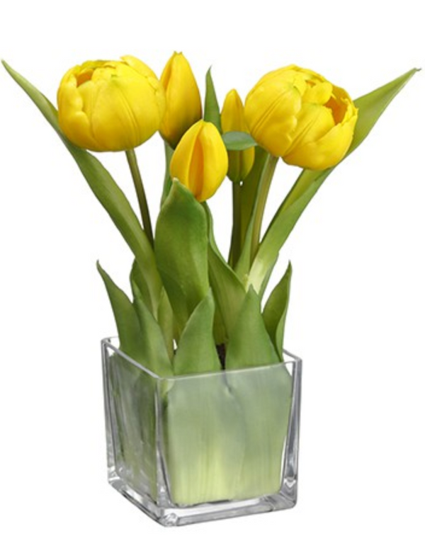 Yellow Tulips in Glass