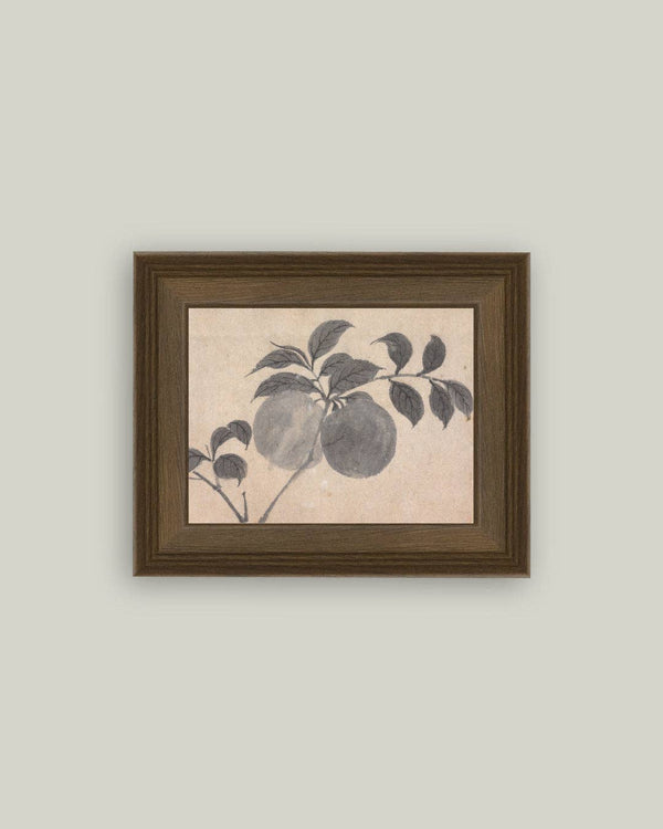 Branch of Fruit Bearing Tree Framed Antique Art
