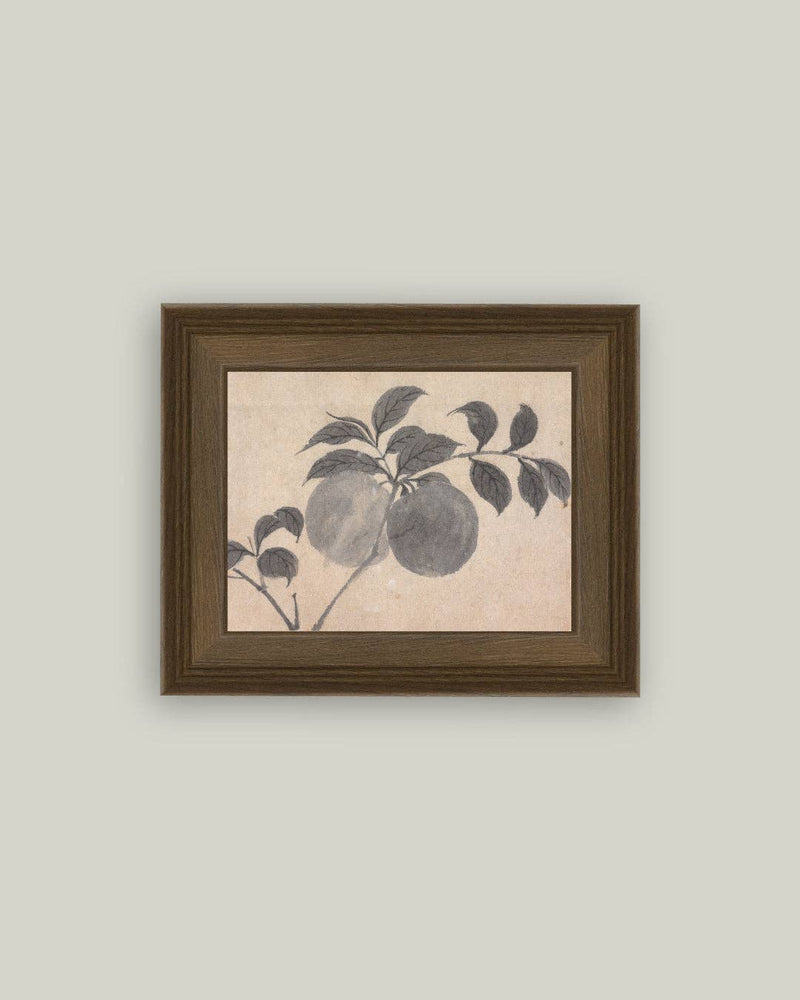 Branch of Fruit Bearing Tree Framed Antique Art