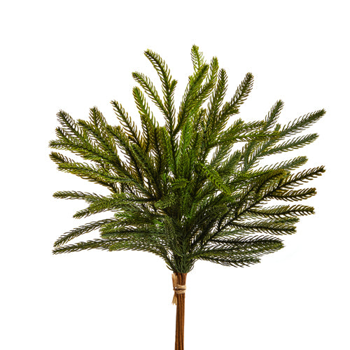 Balsam Fir Bundle