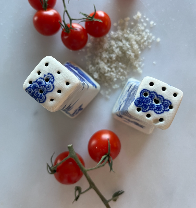 Blue & White Salt & Pepper Shakers