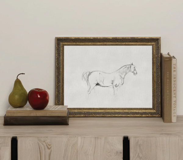 Horse Sketch