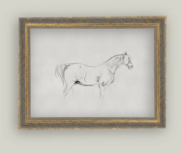 Horse Sketch