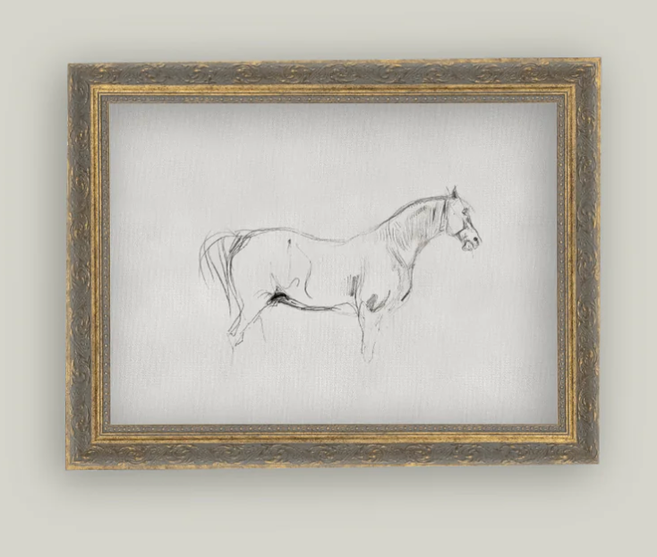 Horse Sketch