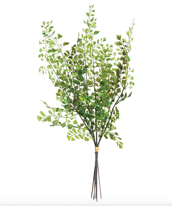 MAIDENHAIR FERN STEMS