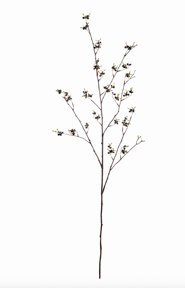 Dark Berry Branch