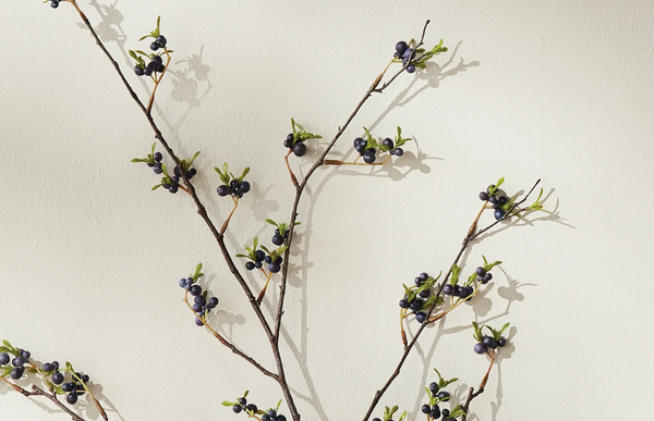 Dark Berry Branch