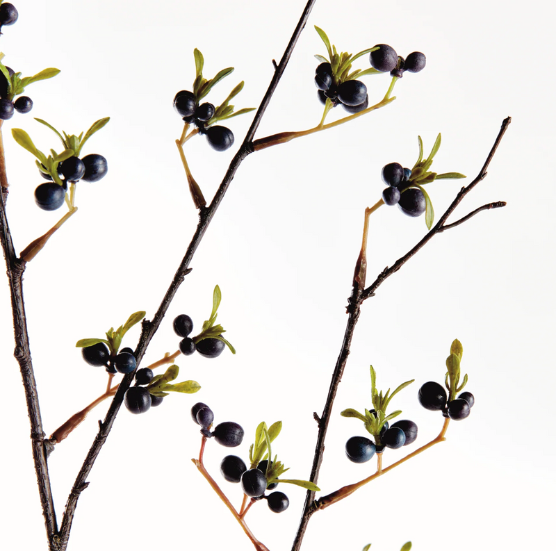Dark Berry Branch