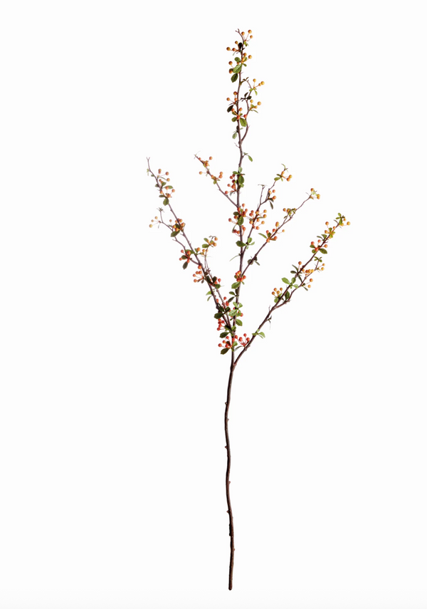 Multi-Color Berry Branch