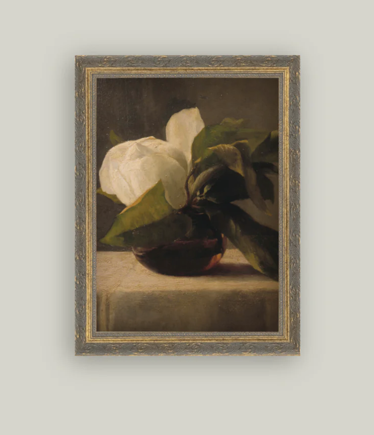 Magnolia