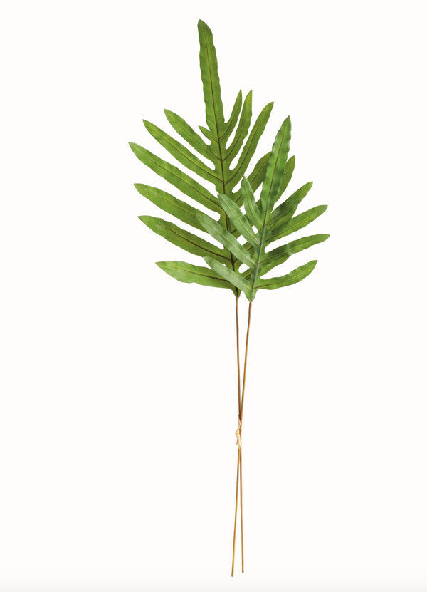 HARE'S FOOT BRANCHES 34", BUNDLE OF 2
