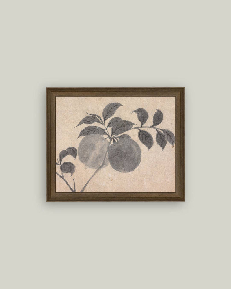 Branch of Fruit Bearing Tree Framed Antique Art