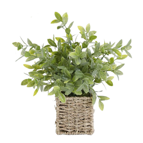 Herb in a Wicker Basket
