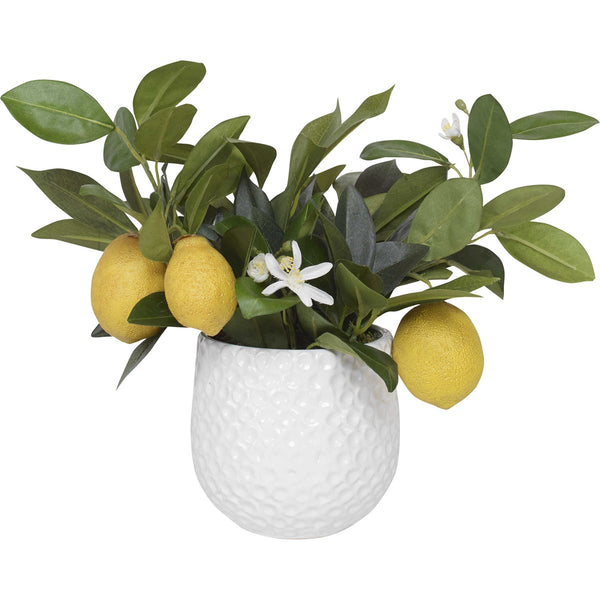 Positano Lemon Accent