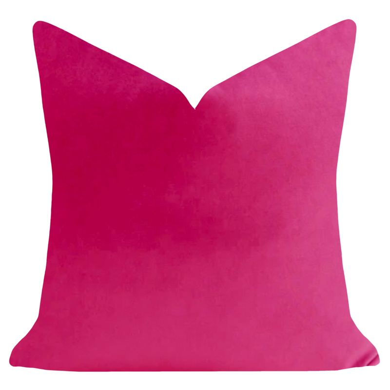 Barry Hot Pink Velvet Pillow