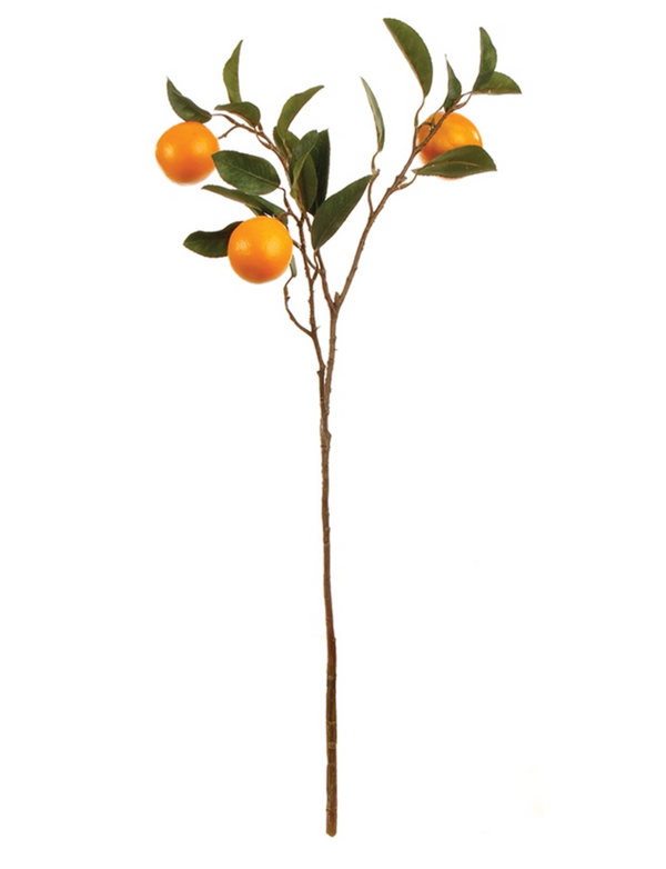 Orange Branch