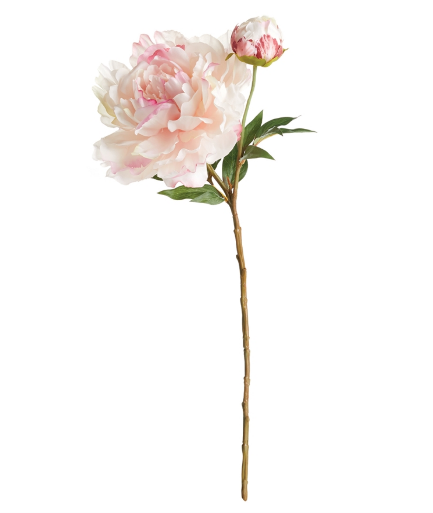 Blush Peony Stem – House of Blum