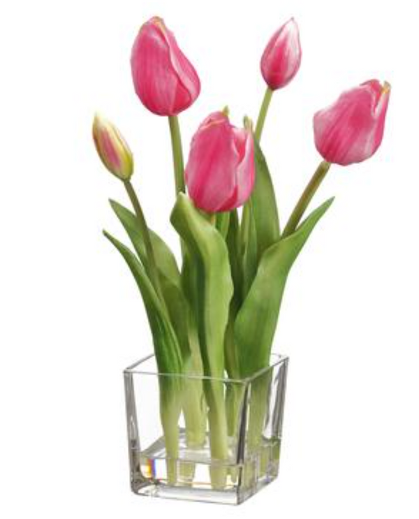 Large Pink Tulips in Glass