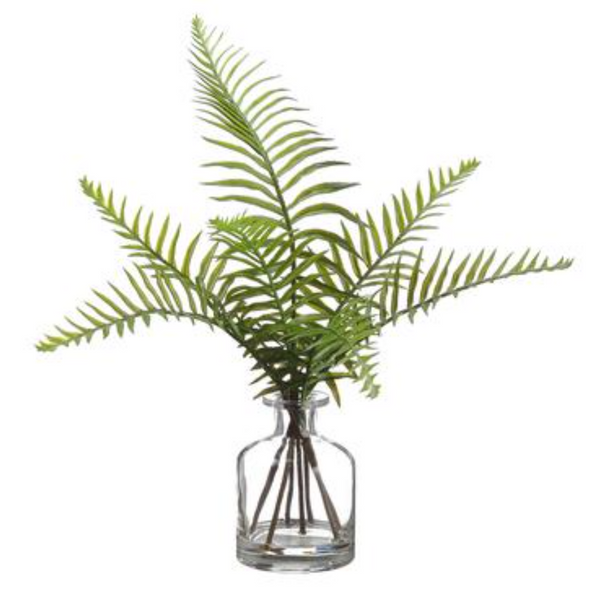 Sword Fern in Glass