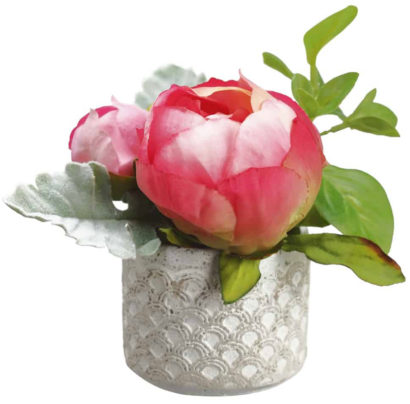 Pink Peony in Cement Pot