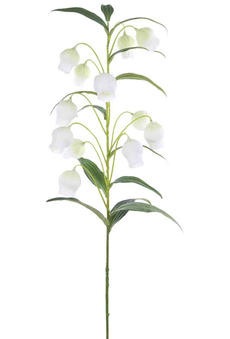 Lilly of the Valley Stem